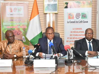 Campagne intermédiaire 2025-2026 : le prix minimum garanti bord champ du cacao fixé à 1200 F CFA/kg