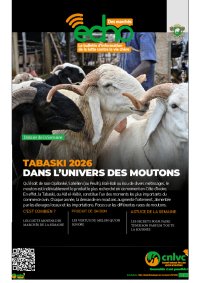 Echo des marchés du Lundi 25 au Dimanche 31 Mai 2026