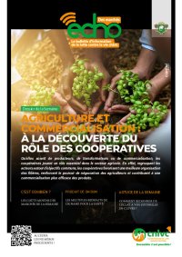 Echo des marchés du Lundi 27 au Dimanche 02 Aout 2026