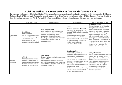 Voici les meilleurs acteurs africains des TIC de l’année 2014