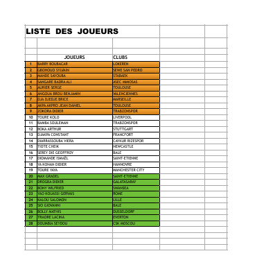 Mondial 2014: la liste des 28 Eléphants sélectionnés pour le Brésil