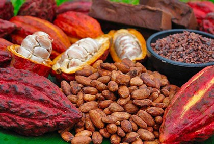 Blocage du Cacao ivoirien au Port d`Abidjan