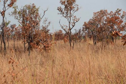 Eductour de Côte d’Ivoire Tourisme à Bouna et Bondoukou