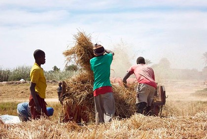 2ème édition de la Semaine du Sahel et de l’Afrique de l’Ouest à Abidjan