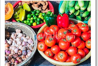 Journée mondiale de l`alimentation 2013