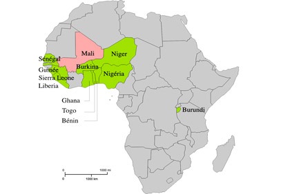 Mission Internationale de Soutien au Mali (MISMA)