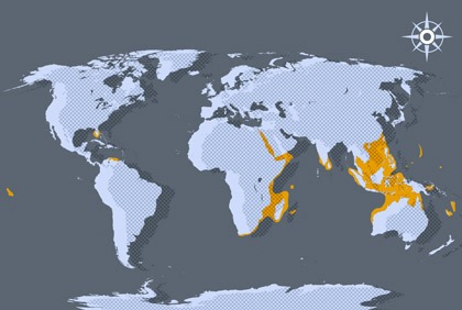Activités de la Banque mondiale: revue à mi-parcours  de l’IDA-16 à Abidjana 