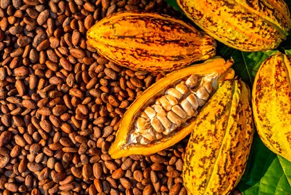 Café, cacao et matières premières en 2012