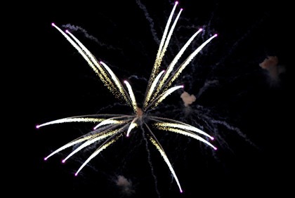 Messages de fin d`année 2009