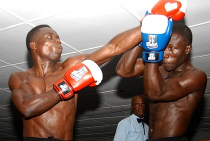 Boxe : actualité du noble art