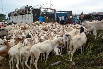 Ramadan, pèlerinage et Tabaski 2006