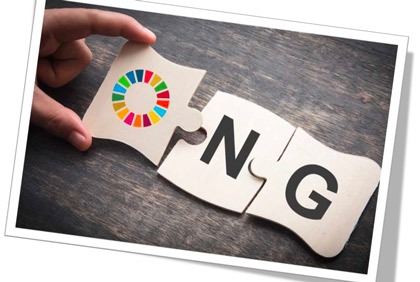 Activités des ONG en 2009