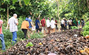Azaguié: une délégation de la Banque Mondiale visite le champs école expérimental de bio pesticides sur le cacao