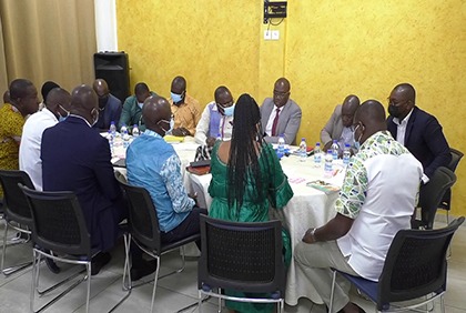 Lutte contre le Swollen Shoot : plus de 105 mille ha de Cacao arrachés