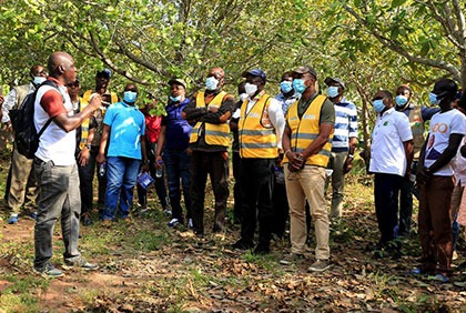 Amélioration de la productivité: la Banque mondiale échange avec les producteurs d'anacarde à Niakara
