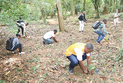 Planting d'arbres au Centre National Floristique de l'Université Félix Houphouët-Boigny