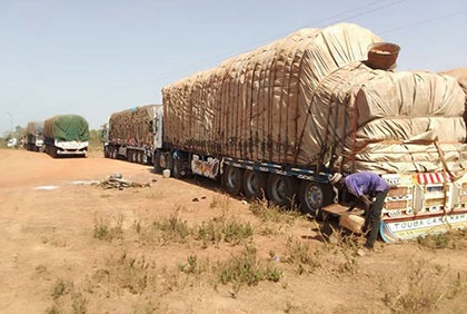 Tengrela - les effets collatéraux des sanctions économiques de la CEDEAO et l’UEMOA à l’encontre du Mali se font sentir