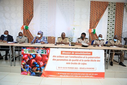 Séguéla: lancement de la campagne de sensibilisation sur l’amélioration et la préservation de la qualité des noix brutes de cajou