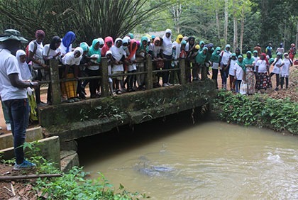 Eco tourisme : plus de 300 élèves découvrent la forêt du Banco d’Abidjan