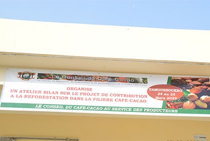 Atelier bilan sur le projet de contribution à la reforestation dans la filière café-cacao