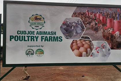 Comment les excréments de poules sont utilisés pour l’amélioration de production agricole