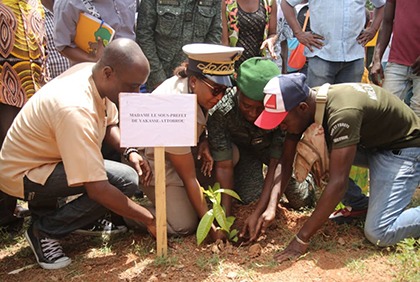 Plan vert : l'INADCI reboise 15 hectares à Yakasse Attobrou