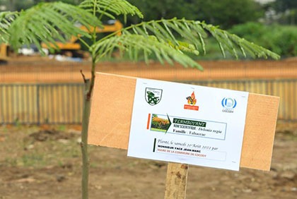 Cocody/Préservation de l'environnement: le maire Jean-Marc Yacé participe à une opération de planting d'arbres