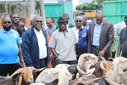 Ibrahim Konaté offre 150 moutons et 10 bœufs aux populations