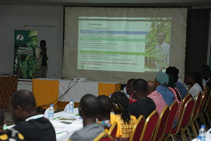 Le conseil du café-cacao forme les agents dédiés au projet de contribution à la reforestation dans la filière café-cacao