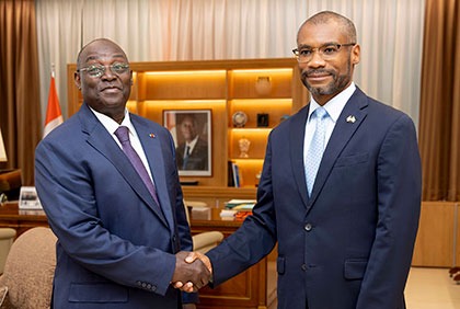 Entretien du Vice-président ivoirien avec l'Ambassadeur du Canada en Côte d'Ivoire