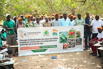 Côte d'Ivoire:  le Conseil du Coton et de l’Anacarde sensibilise des acteurs de la filière sur la bonne qualité de la noix de cajou à Madinani