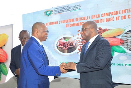 Campagne intermédiaire de commercialisation de cacao 2024-2025 : le prix bord champ minimum garanti du cacao fixé à 2 200 F CFA/KG