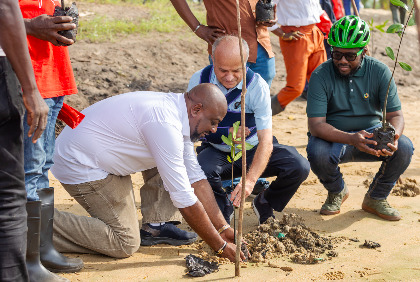 Biodiversité : L’Ambassade de France en Côte d’Ivoire lance un programme pilote pour restaurer les berges lagunaires avec la plantation de palétuviers
