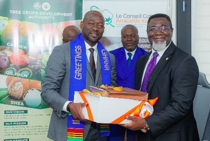 Coopération sous-régionale : la Côte d’Ivoire et le Ghana renforcent leur synergie autour de la filière anacarde