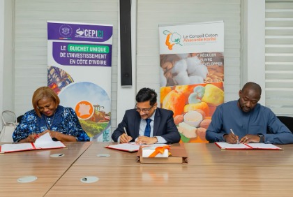 Filière anacarde : la Côte d’Ivoire signe un partenariat pour la production de Cardanol à partir des coques de cajou