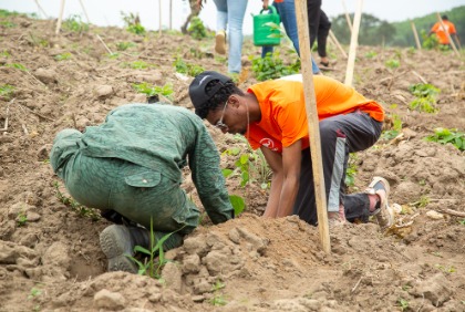 Première édition de l’opération de plantation d’arbres dans la Réserve naturelle partielle d’Aghien