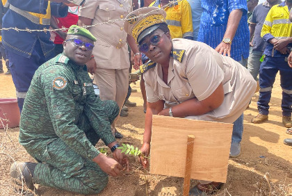 Djékanou: lancement d’une opération de reboisement de 1500 plants à Kouroudji