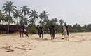 Fêtes de fin d’année : sécurisation des plages par la brigade spéciale équestre