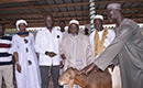 Célébration de la Tabaski : Le Gouverneur Augustin Thiam fait dons de moutons à la communauté musulmane de Yamoussoukro