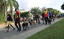 Randonnée : 37e édition des balades canines à Cocody