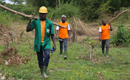 Agriculture/ L’Université de l’Entreprenariat d’Azaguié forme les étudiants à la culture du cacao bio