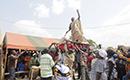 Tradition/ FESTAGNI 5 : les peuples Agni Bini, Bona et Abongui magnifie leur culture à Koun-Fao