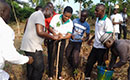 Visite du chef de l ‘état à Akoupé – L ONG Gaya organise une journée de reboisement