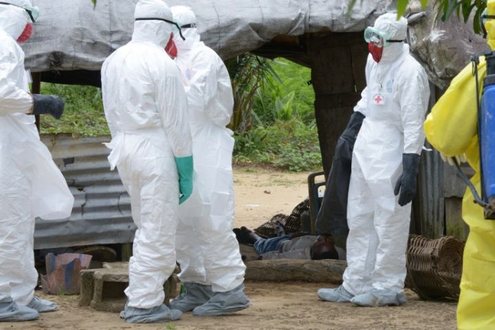 OMS: des avancées scientifiques pour trouver un vaccin contre Ebola