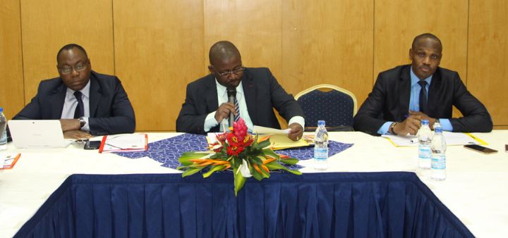 Le SNRC et le PNUD soutiennent la finalisation de l’avant projet de Plan Stratégique 2017-2020 de l’Assemblée Nationale