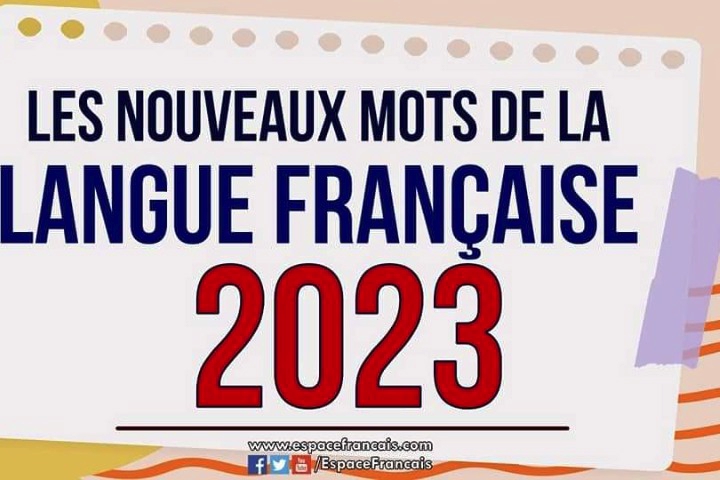 Chawarma, grossophobie… 150 nouveaux mots dans le Larousse 2023