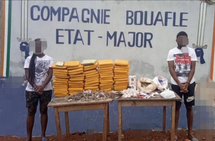 La gendarmerie saisit plus de 70 Kg de cannabis à Bouaflé