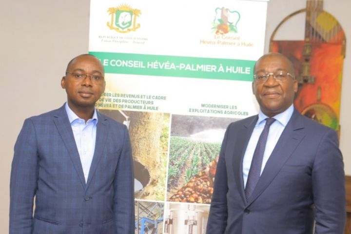 Le Conseil Hévéa – Palmier à huile élabore le cadre de suivi de la convention entre l’Etat et les industriels du caoutchouc