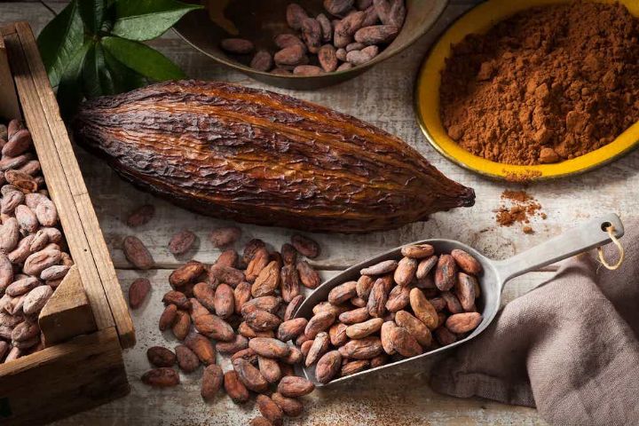 Les transformateurs et exportateurs ivoiriens lancent un appel de détresse aux chocolatiers