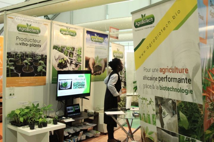 SARA 2017/Rentabilisation agricole : AGROBIOTECH présente la technologie de clonage ou la multiplication simple sans modification génétique